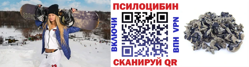 Галлюциногенные грибы Cubensis  Данилов 