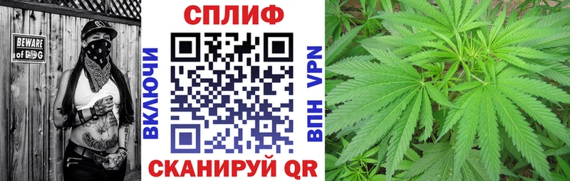 как найти закладки  Данилов  Канабис White Widow 